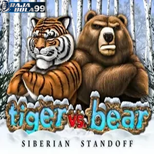 Tiger vs Bear