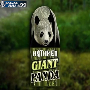 untamed giant panda